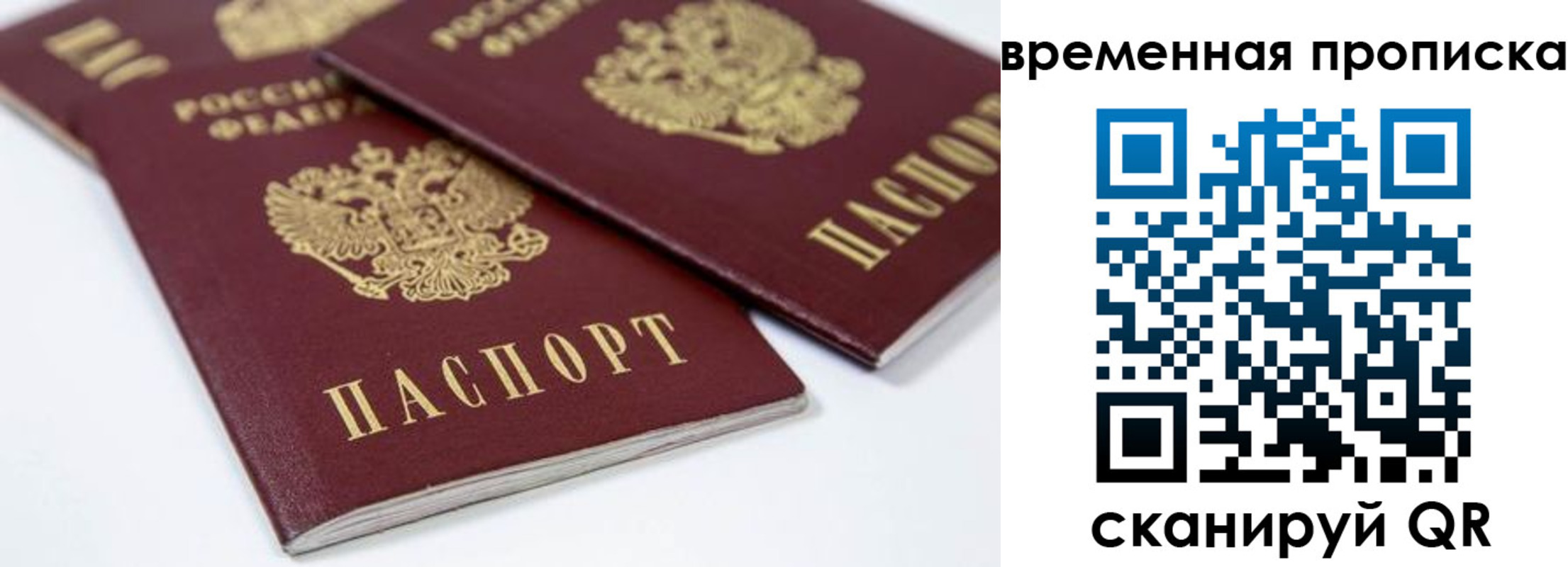 прописка для школы в Грязях